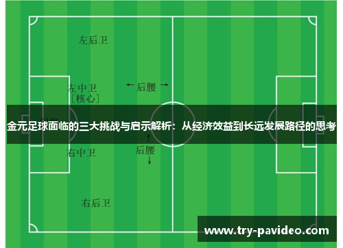金元足球面临的三大挑战与启示解析：从经济效益到长远发展路径的思考