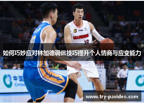 如何巧妙应对林加德调侃技巧提升个人情商与应变能力