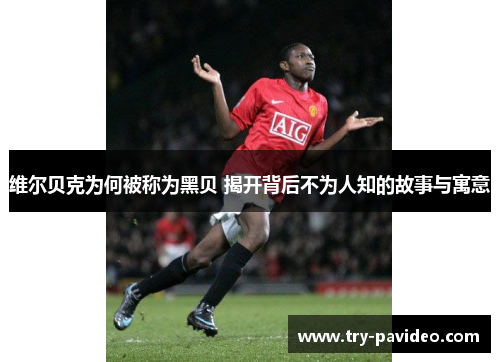 维尔贝克为何被称为黑贝 揭开背后不为人知的故事与寓意 维尔贝克为何被称为黑贝 揭开背后不为人知的故事与寓意