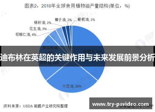 迪布林在英超的关键作用与未来发展前景分析