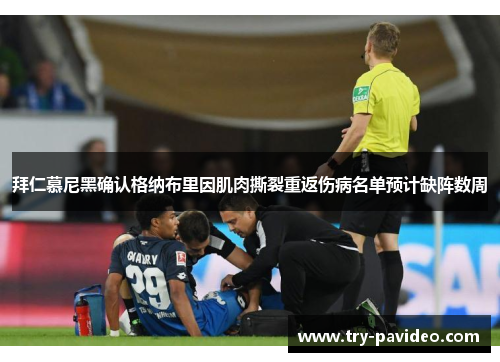拜仁慕尼黑确认格纳布里因肌肉撕裂重返伤病名单预计缺阵数周 拜仁慕尼黑确认格纳布里因肌肉撕裂重返伤病名单预计缺阵数周