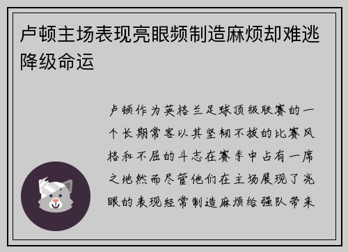 卢顿主场表现亮眼频制造麻烦却难逃降级命运
