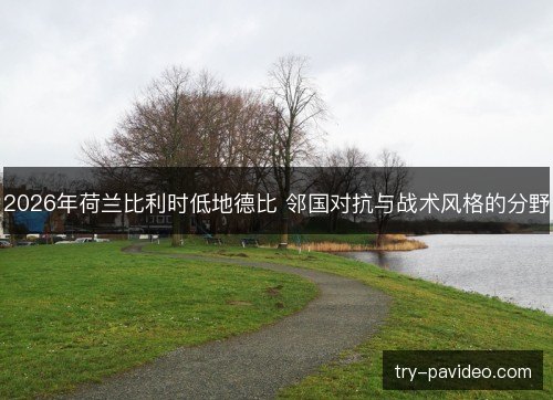 2026年荷兰比利时低地德比 邻国对抗与战术风格的分野 2026年荷兰比利时低地德比 邻国对抗与战术风格的分野